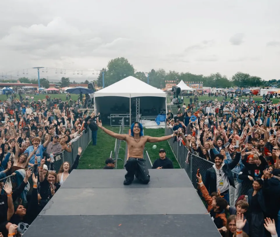 Headliner onstage in front of a cheering outdoor festival crowd